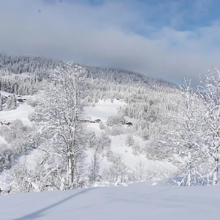 Chalet Chalet Duc De Savoie Les Gets